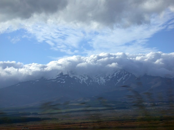 Mt Ruapehu View